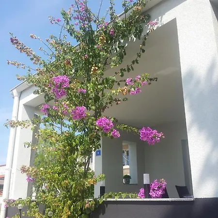 Apartment Dino Vir